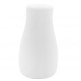 Salt Shaker 1 1/4"