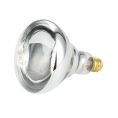 Clear Bulb for ELHL-1