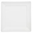 Square Plate 14"