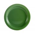 Plate N.R. Green  9"