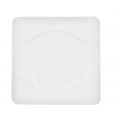Square Plate 12 1/2"