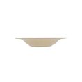 Jasper Rim Soup Plate IV/BL Spk 10oz 9"