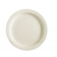Plate N.R. #4 6 1/2"