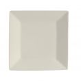 Square Plate 10"