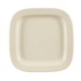 Square Plate 11"