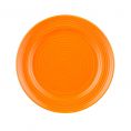 Plate Tangerine 9 7/8"