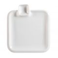 Square Plate 9"