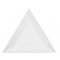 Triangular Plate 10"