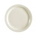 Plate N.R. #10 10 3/8"