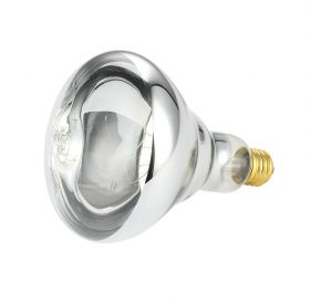Clear Bulb for ELHL-1