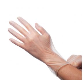 Glove Disposable Vinyl Large 100/Pack