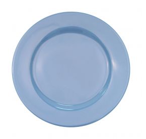Plate R.E. Light Blue  10 1/2"
