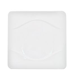 Square Plate 9 1/2"