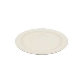 Dwight Plate N.R. IV 10 1/4"