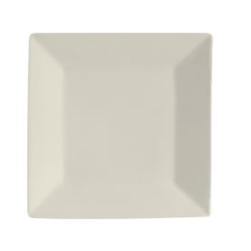 Square Plate 6"
