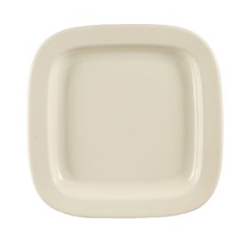 Square Plate 11"