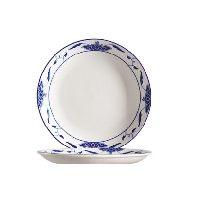 Coupe Plate 12"