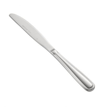 Elite Dinner Knife 18/8 Extra Heavyweight 9-1/4"