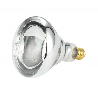 Clear Bulb for ELHL-1