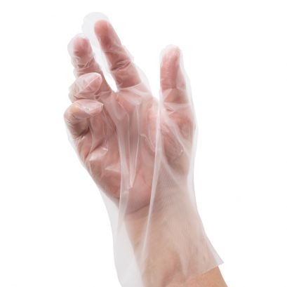 Glove Disposable PE Large 500/Pack