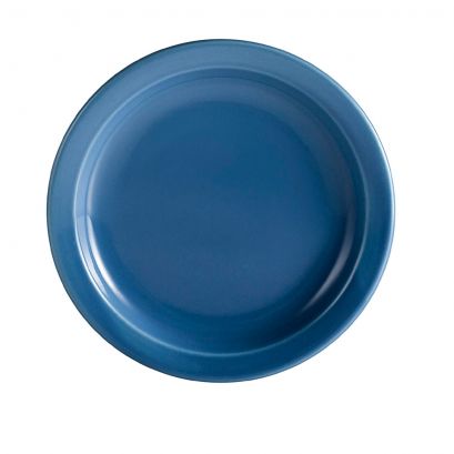 Plate N.R. Light Blue  10 1/2"