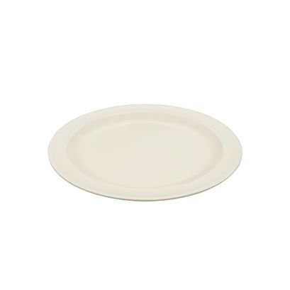 Dwight Plate N.R. IV 10 1/4"