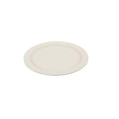 Dwight Plate N.R. IV 9"