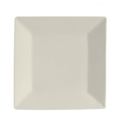 Square Plate 10"